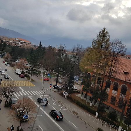 Ferienwohnung Garsoniera Mihaela Petroşani Exterior foto