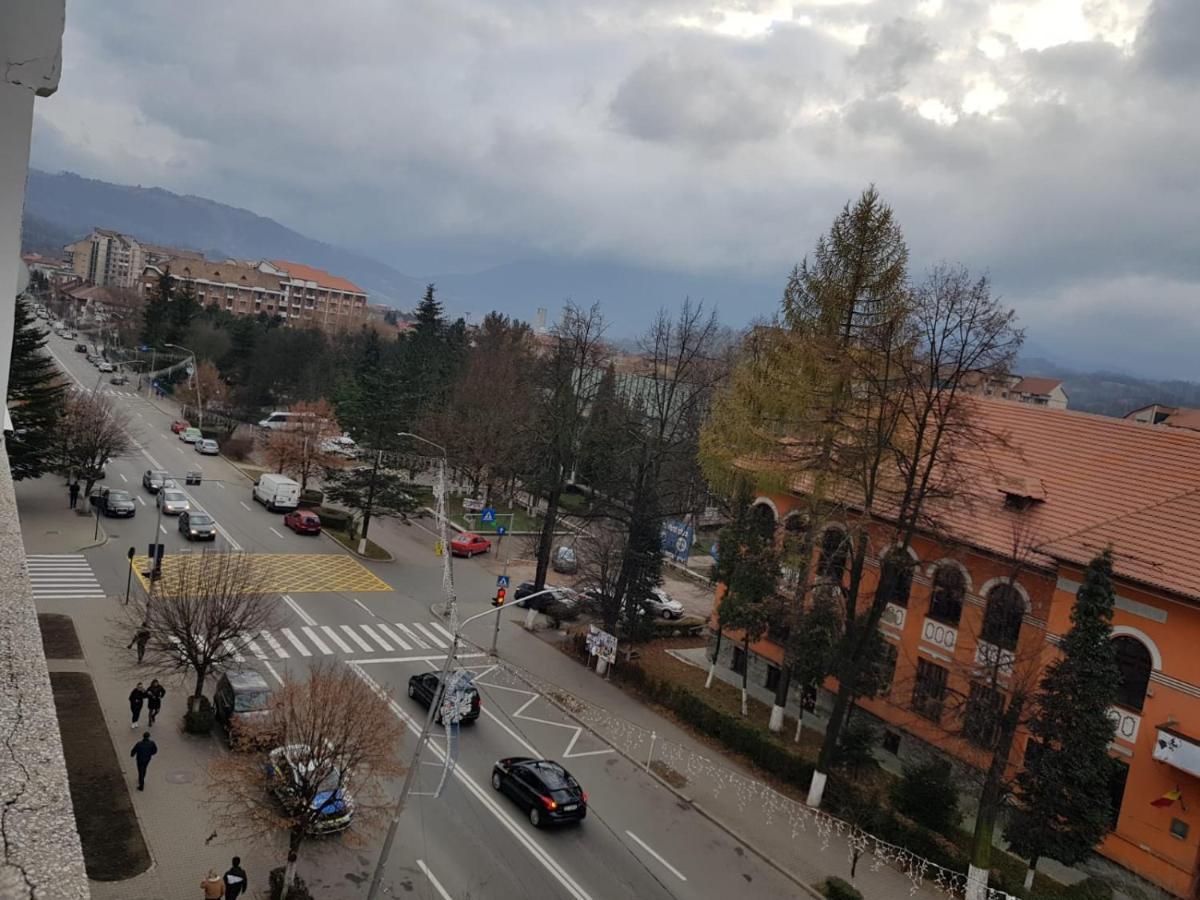 Ferienwohnung Garsoniera Mihaela Petroşani Exterior foto