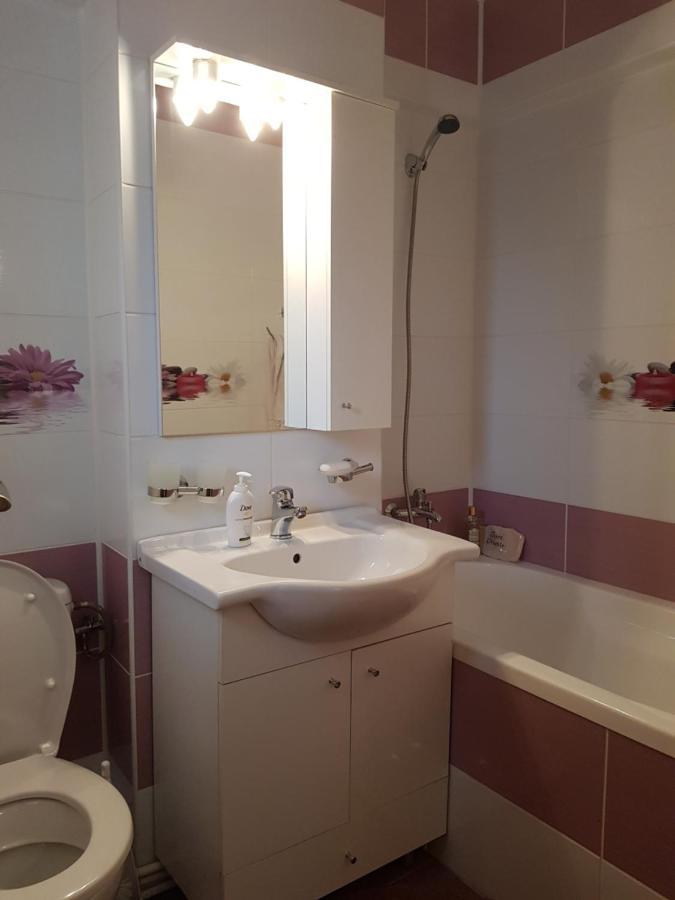 Ferienwohnung Garsoniera Mihaela Petroşani Exterior foto