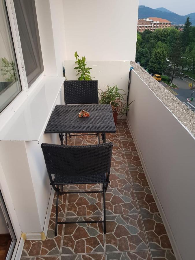Ferienwohnung Garsoniera Mihaela Petroşani Exterior foto