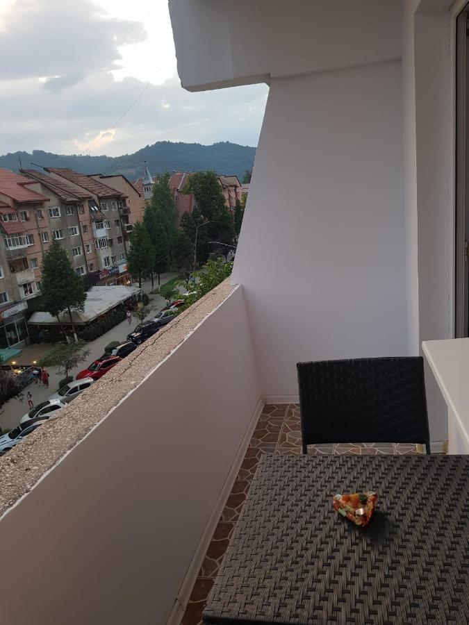 Ferienwohnung Garsoniera Mihaela Petroşani Exterior foto