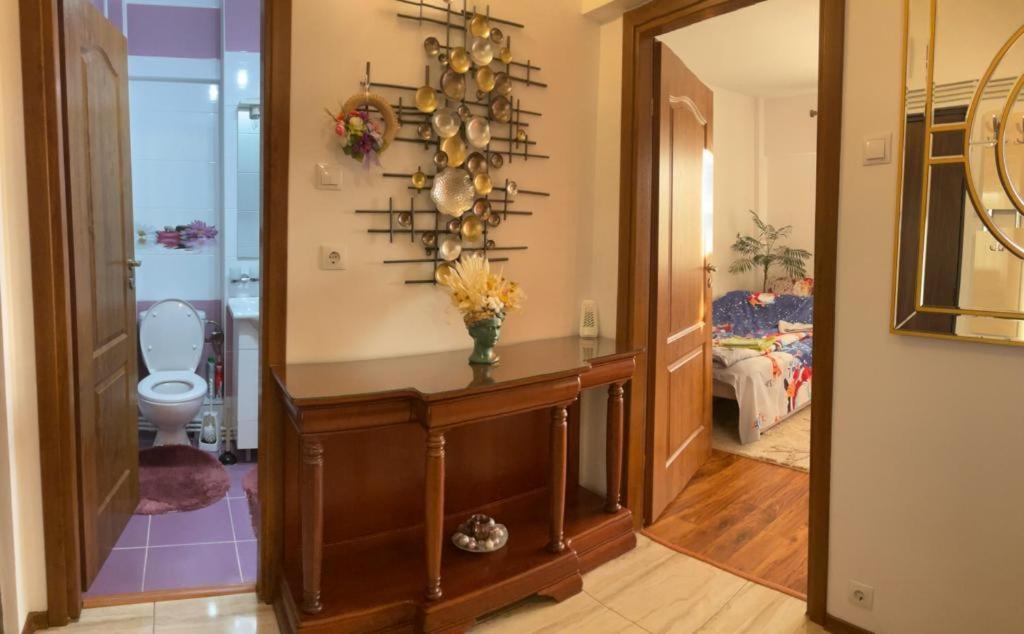 Ferienwohnung Garsoniera Mihaela Petroşani Exterior foto